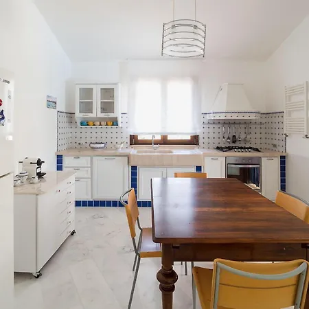 فيلة Afrodite كوستوناتشي